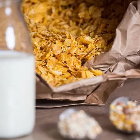 Gaesteresidenz Pelikan Viertel 2*